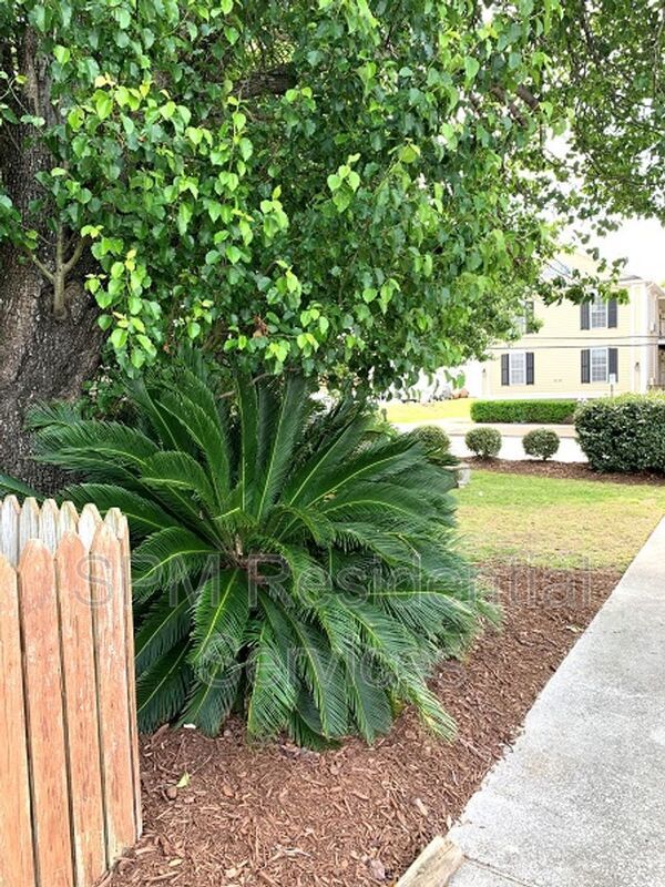 First Floor One Bedroom Apartment for Rent - Downtown Wilmington - Walk to dining, shopping, and Riverfront Park property image