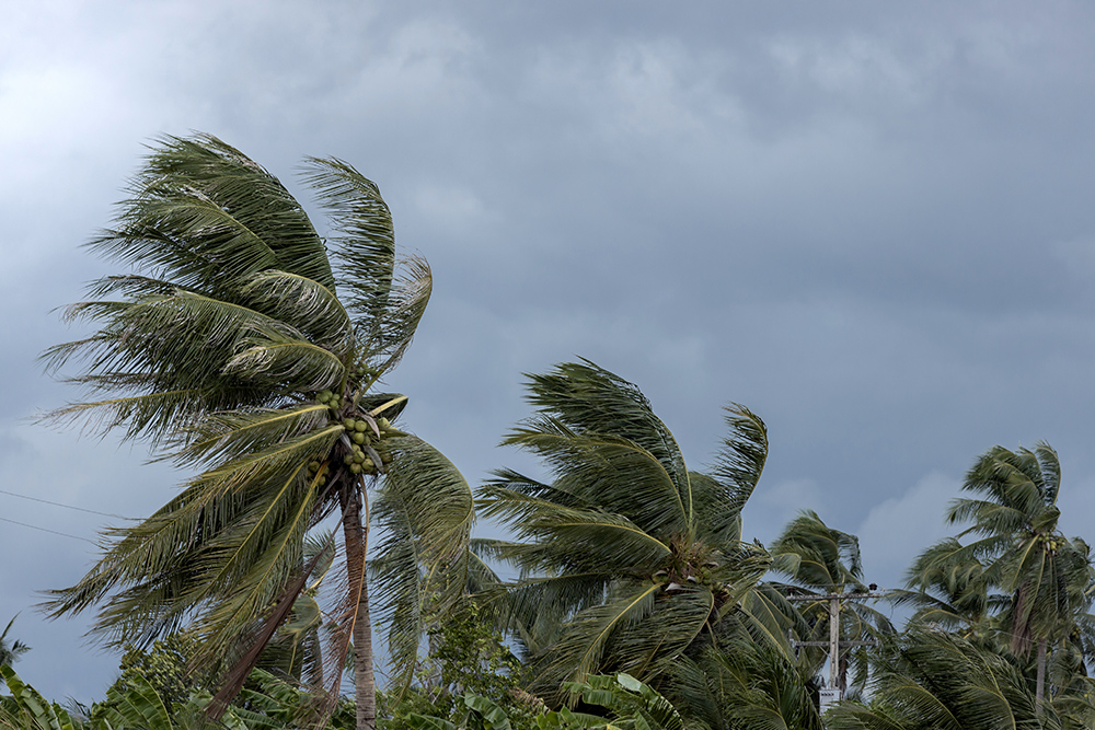 Have You Done Your Hurricane Homework?