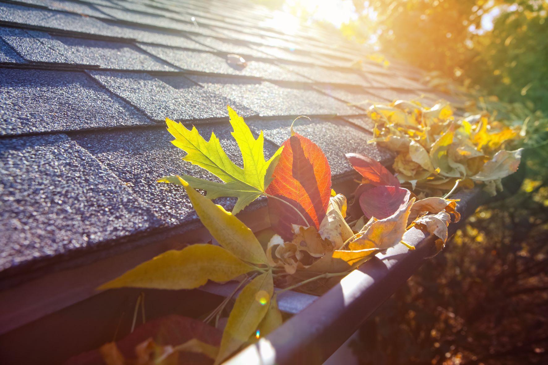 Gutters need cleaning at rental property