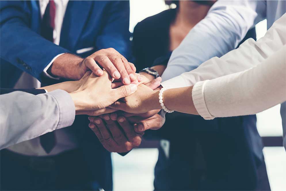 Meet The Team